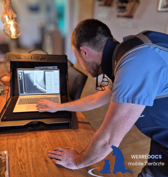 Digitales Röntgen vor Ort